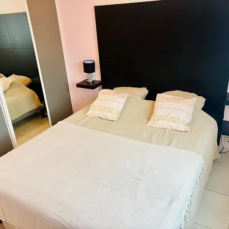 Villa Climatisee Avec Piscine Privee En Petite Camargue *