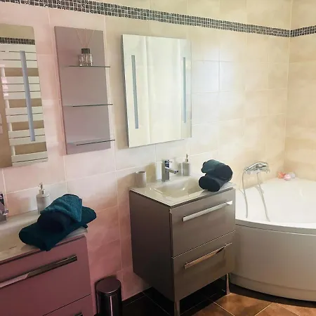Climatisee Avec Piscine Privee En Petite Camargue